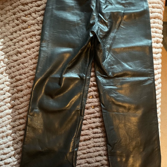 Aritzia Vegan Leather Babaton Pants - Picture 7 of 8